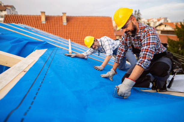 Best Metal Roofing Contractor  in Sebring, OH